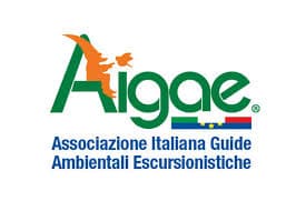 Logo AIGAE
